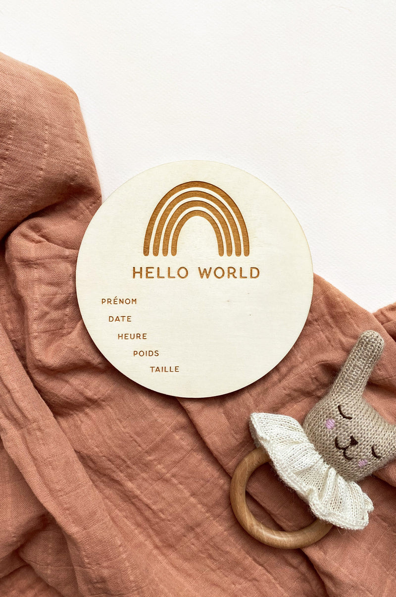 Pancarte naissance "Hello World"